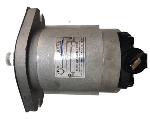 60275076 Stuuroliepomp Slijtvaste weerstand tegen QC4015-HR-SY voor mobiele kraan SANY